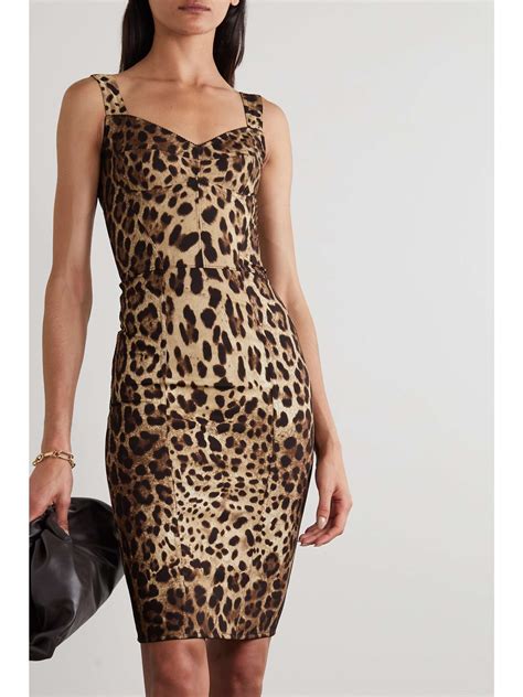 dolce gabbana blue leopard dress|dolce gabbana leopard print sheath dress.